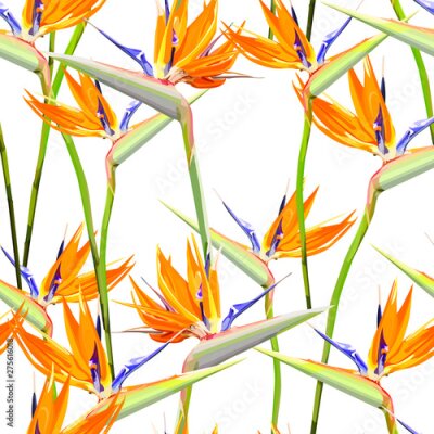 Papier peint  Seamless background with Strelitzia Reginae orange tropical flower. Vector illustration, EPS 10
