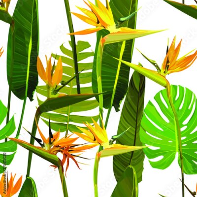 Papier peint  Seamless background with Strelitzia Reginae orange tropical flower. Vector illustration, EPS 10