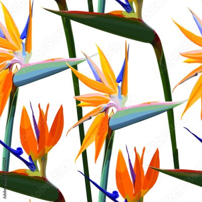 Papier peint  Seamless background with Strelitzia Reginae orange tropical flower. Vector illustration, EPS 10