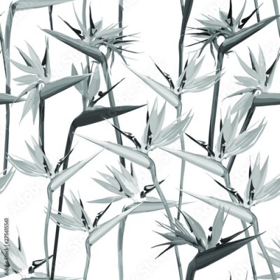 Papier peint  Seamless background with Strelitzia Reginae orange tropical flower. Vector illustration, EPS 10