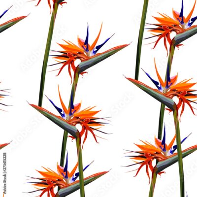 Papier peint  Seamless background with Strelitzia Reginae orange tropical flower. Vector illustration, EPS 10