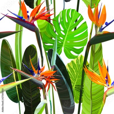 Papier peint  Seamless background with Strelitzia Reginae orange tropical flower. Vector illustration, EPS 10