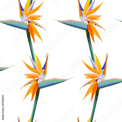 Papier peint  Seamless background with Strelitzia Reginae orange tropical flower. Vector illustration, EPS 10