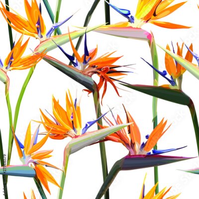 Papier peint  Seamless background with Strelitzia Reginae orange tropical flower. Vector illustration, EPS 10