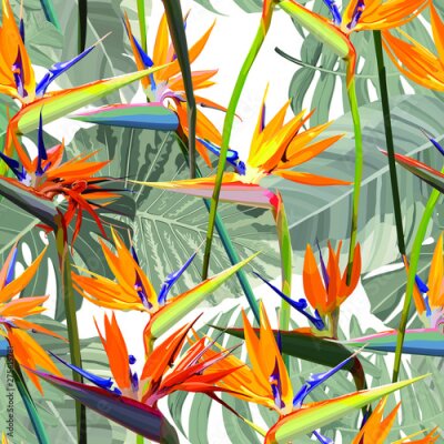 Papier peint  Seamless background with Strelitzia Reginae orange tropical flower. Vector illustration, EPS 10
