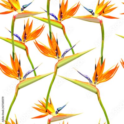 Papier peint  Seamless background with Strelitzia Reginae orange tropical flower. Vector illustration, EPS 10