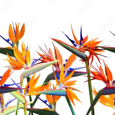 Papier peint  Seamless background with Strelitzia Reginae orange tropical flower. Vector illustration, EPS 10