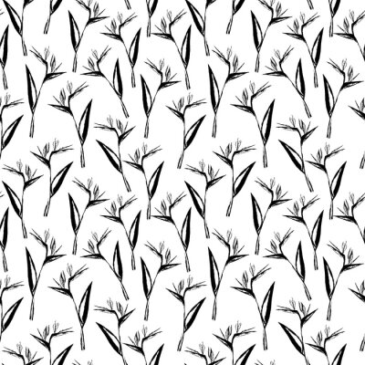 Papier peint  Seamless black and white strelitzia flower pattern. Strelitzia, bird of paradise, or crane lily. Design for textile, wallpapers, greeting cards, decoration. Isolated on white background.