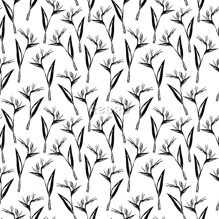Papier peint  Seamless black and white strelitzia flower pattern. Strelitzia, bird of paradise, or crane lily. Design for textile, wallpapers, greeting cards, decoration. Isolated on white background.