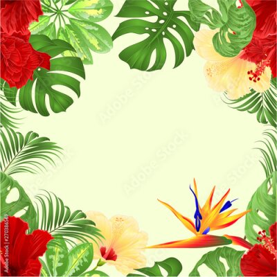 Papier peint  Seamless border  bouquet with tropical flowers  floral arrangement with  Strelitzia and red and yellow hibiscus   palm,philodendron and Schefflera and Monstera  vintage vector illustration  editable