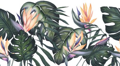 Papier peint  Seamless Border of Watercolor Monstera Leaves and Strelitzia Flowers