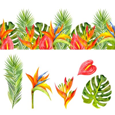 Papier peint  Seamless border with bright tropical flowers and leaves. Set with tropical plants (palm leaf, monstera leaf, heliconia, anthurium, strelitzia)