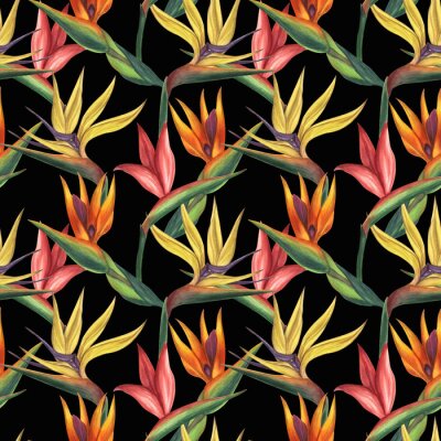 Papier peint  Seamless endless tropical pattern. Pink yellow orange strelitzia flower, bird of paradise. Hand-drawn watercolor illustration black background. For textiles, wrapping paper, wallpaper
