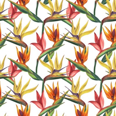 Papier peint  Seamless endless tropical pattern. Pink yellow orange strelitzia flower, bird of paradise. Hand-drawn watercolor illustration white background. For textiles, wrapping paper, wallpaper