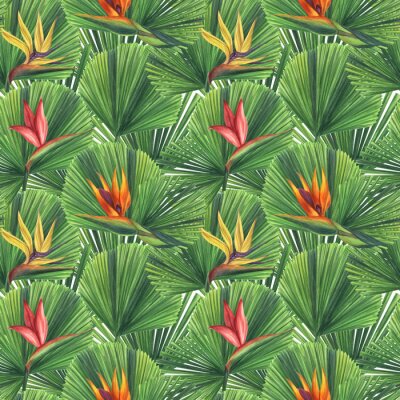 Papier peint  Seamless endless tropical pattern. Pink yellow orange strelitzia flower, bird of paradise, licuala leaf. Hand-drawn watercolor illustration white background. For textiles, wrapping paper, wallpaper