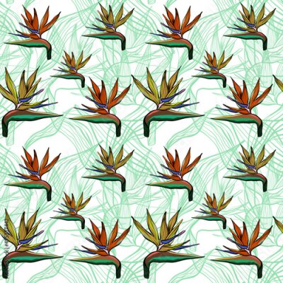 Papier peint  Seamless floral pattern with Strelitzia flowers and leaves in doodle technique vector illustration 