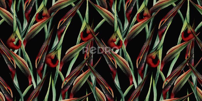 Papier peint  Seamless floral pattern with strelitzia on dark background. Template design for textiles, interior, clothes, wallpaper. Watercolor illustration
