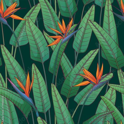 Papier peint  Seamless floral pattern with strelitzia plant. Vector illustration of plant of bird of paradise. For fabric, textile, wrapping paper, cover, package. Flowers and tropical leaves.