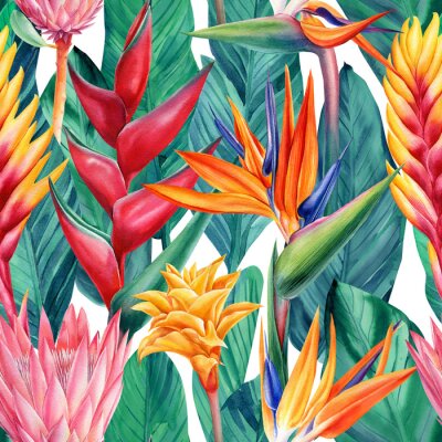 Papier peint  Seamless floral pattern with tropical flowers bromeliad, strelitzia, heliconia and leaves, watercolor illustration.