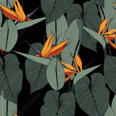 Papier peint  Seamless floral pattern with tropical strelitzia flowers on dark background. Template design for textiles, interior, clothes, wallpaper.