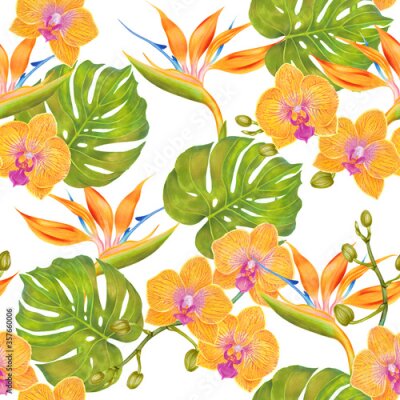 Papier peint  Seamless green philodendron fern leaf, strelitzia flower, orchid flower Hawaiian pattern. Natural simple background on white. Hand drawn leaves tropical pattern.