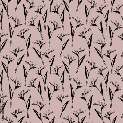 Papier peint  Seamless hand drawn strelitzia flower pattern. Vector strelitzia pattern isolated on beige background. Design for textile, wallpapers, greeting cards, home decoration, invitation cards.