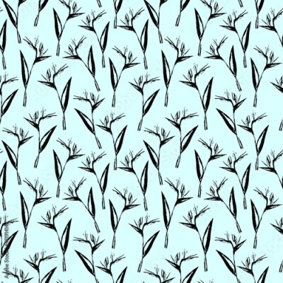 Papier peint  Seamless hand drawn strelitzia flower pattern. Vector strelitzia pattern isolated on light blue background. Design for textile, wallpapers, greeting cards, home decoration, invitation cards.