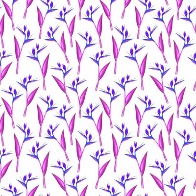 Papier peint  Seamless hand drawn strelitzia pattern. Strelitzia, bird of paradise, or crane lily. Design for textile, wallpapers, greeting cards, decoration. Pink and purple shades. Isolated on white background.
