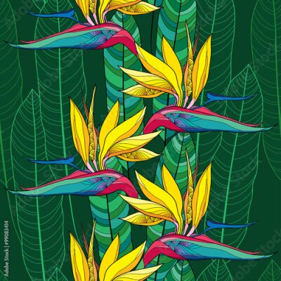 Papier peint  Seamless modèle avec Strelitzia reginae ou oiseau de fleur de paradis et feuilles ornées sur le fond vert foncé.