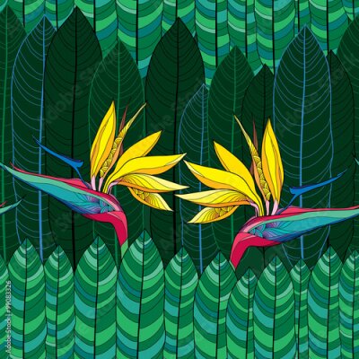 Papier peint  Seamless pattern avec Strelitzia reginae ou oiseau de paradis fleur et feuilles vertes.