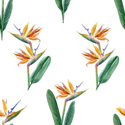 Papier peint  Seamless pattern, Bird of paradise flower, watercolor Strelitzia reginae, crane flower hand drawn botanical illustration isolated on white background, exotic tropical plant, branch Strelicia