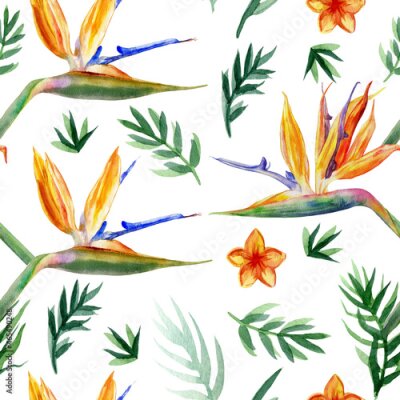 Papier peint  Seamless pattern, Bird of paradise flower, watercolor Strelitzia reginae, crane flower hand drawn botanical illustration isolated on white background, exotic tropical plant, branch Strelicia backdrop