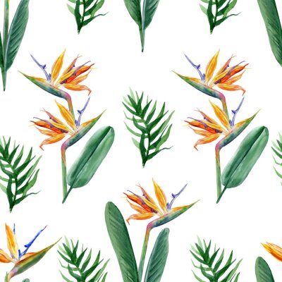 Papier peint  Seamless pattern, Bird of paradise flower, watercolor Strelitzia reginae, crane flower hand drawn botanical illustration isolated on white background, exotic tropical plant, branch Strelicia backdrop