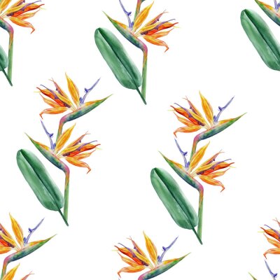 Papier peint  Seamless pattern, Bird of paradise flower, watercolor Strelitzia reginae, crane flower hand drawn botanical illustration isolated on white background, exotic tropical plant, branch Strelicia backdrop