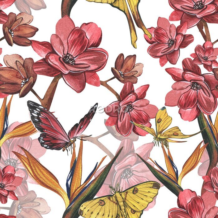 Papier peint  Seamless pattern butterfly, red flower, strelitzia isolated on white. Watercolor hand drawn illustration. Art for design