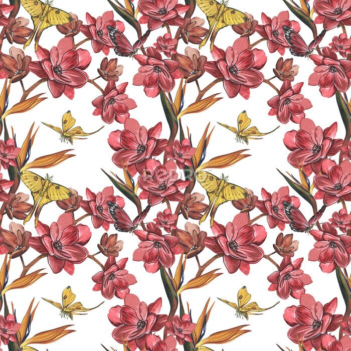 Papier peint  Seamless pattern butterfly, red flower, strelitzia isolated on white. Watercolor hand drawn illustration. Art for design