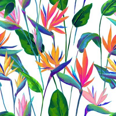 Papier peint  Seamless pattern of colorful strelitzia flowers, oil painting