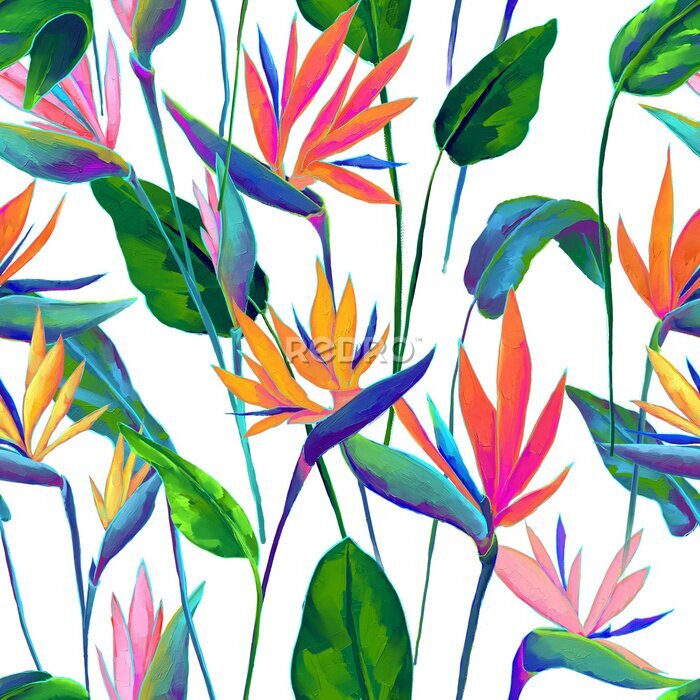 Papier peint  Seamless pattern of colorful strelitzia flowers, oil painting