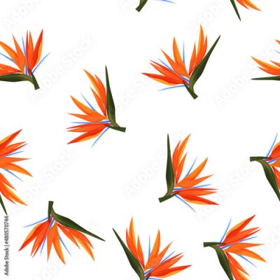 Papier peint  Seamless pattern of colorful strelitzia flowers. Vector exotic flowers bird of a paradise isolated on white background.