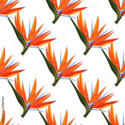 Papier peint  Seamless pattern of colorful strelitzia flowers. Vector exotic flowers bird of a paradise isolated on white background.