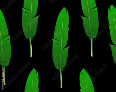 Papier peint  Seamless pattern of green realistic strelitzia leaves. Graphic design.