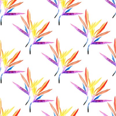 Papier peint  seamless pattern of multicolored strelitzia flower drawn in watercolor on a white background. tropical strelitzia bright flowers petals blue purple orange red yellow on a white background
