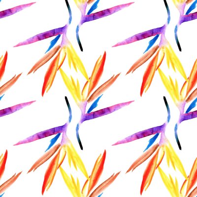 Papier peint  seamless pattern of multicolored tropical strelitzia flower hand-painted in watercolor on a white background. strelitzia bright flower petals blue purple orange red yellow on white background for wall