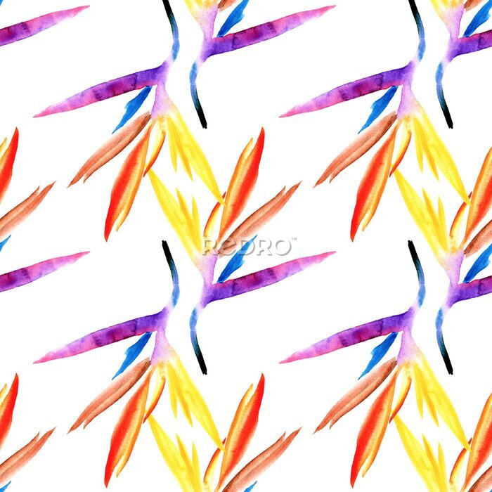 Papier peint  seamless pattern of multicolored tropical strelitzia flower hand-painted in watercolor on a white background. strelitzia bright flower petals blue purple orange red yellow on white background for wall