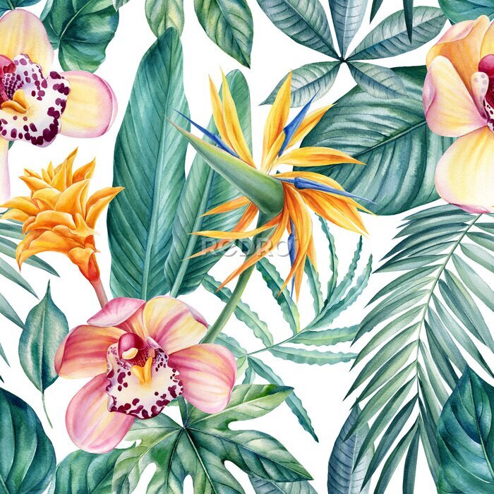 Papier peint  Seamless pattern of tropical leaves, orchid flowers and strelitzia, jungle background, watercolor painting