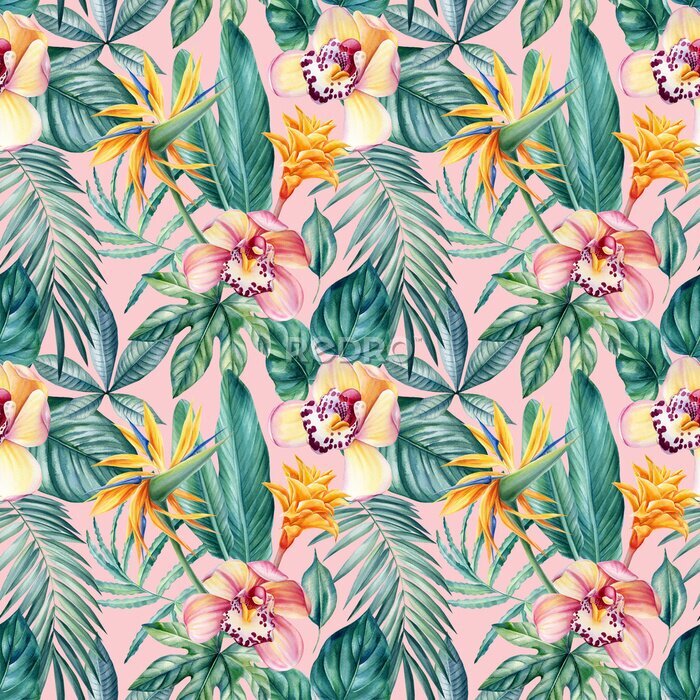 Papier peint  Seamless pattern of tropical leaves, orchid flowers and strelitzia, jungle background, watercolor painting