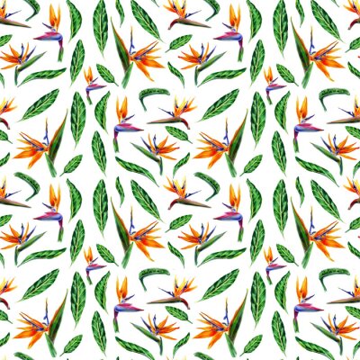 Papier peint  seamless pattern  of tropical plant flowers and green leaves strelitzia on white background. Botanical watercolor illustration.Collection of exotic strelitzia flowers, bird of paradise. for design.
