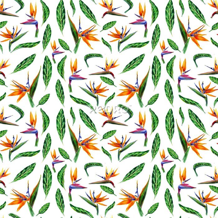 Papier peint  seamless pattern  of tropical plant flowers and green leaves strelitzia on white background. Botanical watercolor illustration.Collection of exotic strelitzia flowers, bird of paradise. for design.
