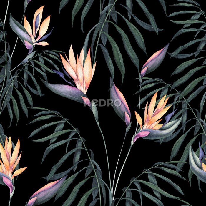 Papier peint  Seamless Pattern of Watercolor Palm Leaves and Strelitzia Flowers