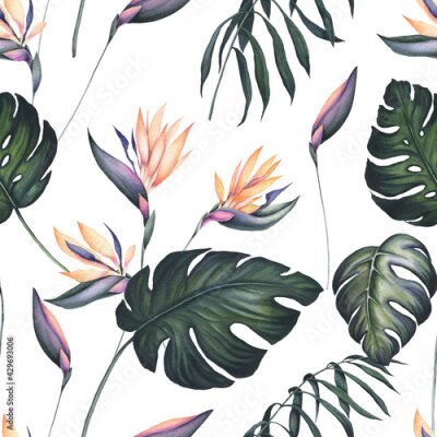 Papier peint  Seamless Pattern of Watercolor Strelitzia and Monstera Leaves